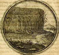 An illustration from Symbolor & emblematum ... centuria una [-quarta] (1661)