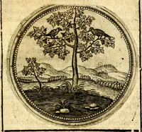 An illustration from Symbolor & emblematum ... centuria una [-quarta] (1661)