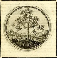 An illustration from Symbolor & emblematum ... centuria una [-quarta] (1661)