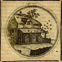 Picture 429 of 547 from Symbolor & emblematum ... centuria una [-quarta] (1661), leaf 594