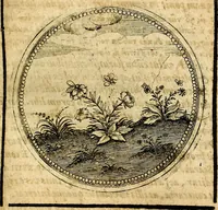 Picture 430 of 547 from Symbolor & emblematum ... centuria una [-quarta] (1661), leaf 596