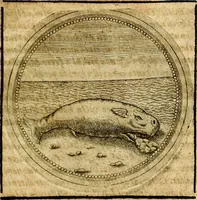 An illustration from Symbolor & emblematum ... centuria una [-quarta] (1661)