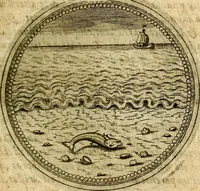 Picture 456 of 547 from Symbolor & emblematum ... centuria una [-quarta] (1661), leaf 646