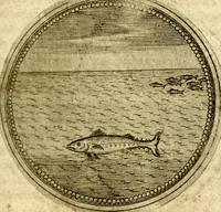 Picture 461 of 547 from Symbolor & emblematum ... centuria una [-quarta] (1661), leaf 654