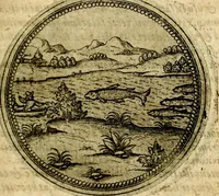 An illustration from Symbolor & emblematum ... centuria una [-quarta] (1661)