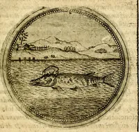 Picture 471 of 547 from Symbolor & emblematum ... centuria una [-quarta] (1661), leaf 674