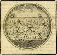 Picture 476 of 547 from Symbolor & emblematum ... centuria una [-quarta] (1661), leaf 684