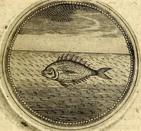 Picture 478 of 547 from Symbolor & emblematum ... centuria una [-quarta] (1661), leaf 688