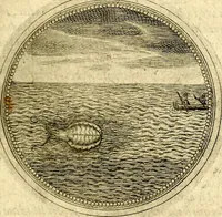 Picture 493 of 547 from Symbolor & emblematum ... centuria una [-quarta] (1661), leaf 718