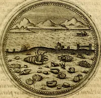 Picture 502 of 547 from Symbolor & emblematum ... centuria una [-quarta] (1661), leaf 736
