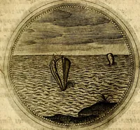 Picture 503 of 547 from Symbolor & emblematum ... centuria una [-quarta] (1661), leaf 738