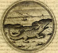 An illustration from Symbolor & emblematum ... centuria una [-quarta] (1661)