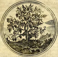 Picture 58 of 547 from Symbolor & emblematum ... centuria una [-quarta] (1661), leaf 76