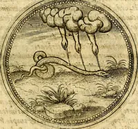 Picture 530 of 547 from Symbolor & emblematum ... centuria una [-quarta] (1661), leaf 792