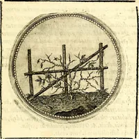 Picture 68 of 547 from Symbolor & emblematum ... centuria una [-quarta] (1661), leaf 86