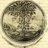An illustration from Symbolor & emblematum ... centuria una [-quarta] (1661)