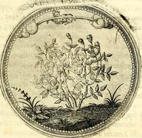 An illustration from Symbolor & emblematum ... centuria una [-quarta] (1661)