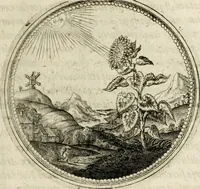 Picture 89 of 544 from Symboloru[m] & emblematum ex re herbaria desumtorum centuria vna[-quarta] collecta (1654), leaf 104