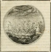 Picture 100 of 544 from Symboloru[m] & emblematum ex re herbaria desumtorum centuria vna[-quarta] collecta (1654), leaf 116