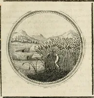 Picture 102 of 544 from Symboloru[m] & emblematum ex re herbaria desumtorum centuria vna[-quarta] collecta (1654), leaf 118