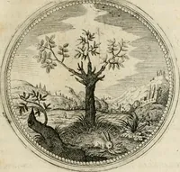 Picture 7 of 544 from Symboloru[m] & emblematum ex re herbaria desumtorum centuria vna[-quarta] collecta (1654), leaf 12