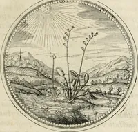 Picture 110 of 544 from Symboloru[m] & emblematum ex re herbaria desumtorum centuria vna[-quarta] collecta (1654), leaf 126