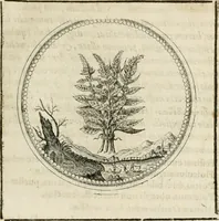 Picture 111 of 544 from Symboloru[m] & emblematum ex re herbaria desumtorum centuria vna[-quarta] collecta (1654), leaf 128