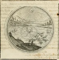 Picture 117 of 544 from Symboloru[m] & emblematum ex re herbaria desumtorum centuria vna[-quarta] collecta (1654), leaf 134