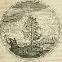 Picture 121 of 544 from Symboloru[m] & emblematum ex re herbaria desumtorum centuria vna[-quarta] collecta (1654), leaf 138