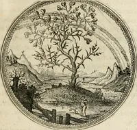 Picture 8 of 544 from Symboloru[m] & emblematum ex re herbaria desumtorum centuria vna[-quarta] collecta (1654), leaf 14