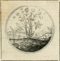 Picture 123 of 544 from Symboloru[m] & emblematum ex re herbaria desumtorum centuria vna[-quarta] collecta (1654), leaf 140