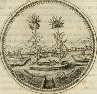 Picture 129 of 544 from Symboloru[m] & emblematum ex re herbaria desumtorum centuria vna[-quarta] collecta (1654), leaf 148