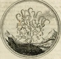 Picture 131 of 544 from Symboloru[m] & emblematum ex re herbaria desumtorum centuria vna[-quarta] collecta (1654), leaf 150