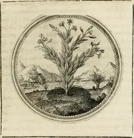Picture 142 of 544 from Symboloru[m] & emblematum ex re herbaria desumtorum centuria vna[-quarta] collecta (1654), leaf 164