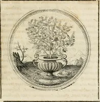 Picture 150 of 544 from Symboloru[m] & emblematum ex re herbaria desumtorum centuria vna[-quarta] collecta (1654), leaf 172