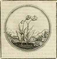 Picture 160 of 544 from Symboloru[m] & emblematum ex re herbaria desumtorum centuria vna[-quarta] collecta (1654), leaf 182