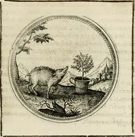 Picture 169 of 544 from Symboloru[m] & emblematum ex re herbaria desumtorum centuria vna[-quarta] collecta (1654), leaf 192