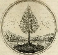 Picture 13 of 544 from Symboloru[m] & emblematum ex re herbaria desumtorum centuria vna[-quarta] collecta (1654), leaf 20