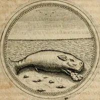 Picture 188 of 544 from Symboloru[m] & emblematum ex re herbaria desumtorum centuria vna[-quarta] collecta (1654), leaf 222