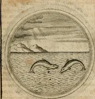 Picture 191 of 544 from Symboloru[m] & emblematum ex re herbaria desumtorum centuria vna[-quarta] collecta (1654), leaf 226