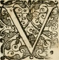 Picture 16 of 544 from Symboloru[m] & emblematum ex re herbaria desumtorum centuria vna[-quarta] collecta (1654), leaf 23