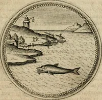 Picture 194 of 544 from Symboloru[m] & emblematum ex re herbaria desumtorum centuria vna[-quarta] collecta (1654), leaf 232
