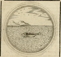 Picture 202 of 544 from Symboloru[m] & emblematum ex re herbaria desumtorum centuria vna[-quarta] collecta (1654), leaf 246