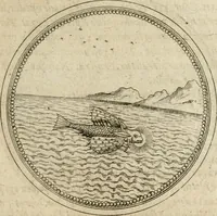 Picture 203 of 544 from Symboloru[m] & emblematum ex re herbaria desumtorum centuria vna[-quarta] collecta (1654), leaf 248
