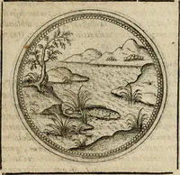 Picture 205 of 544 from Symboloru[m] & emblematum ex re herbaria desumtorum centuria vna[-quarta] collecta (1654), leaf 252