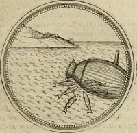 Picture 206 of 544 from Symboloru[m] & emblematum ex re herbaria desumtorum centuria vna[-quarta] collecta (1654), leaf 254
