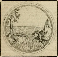 Picture 207 of 544 from Symboloru[m] & emblematum ex re herbaria desumtorum centuria vna[-quarta] collecta (1654), leaf 256