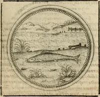 Picture 211 of 544 from Symboloru[m] & emblematum ex re herbaria desumtorum centuria vna[-quarta] collecta (1654), leaf 264