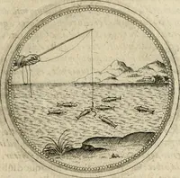 An illustration from Symboloru[m] & emblematum ex re herbaria desumtorum centuria vna[-quarta] collecta (1654)