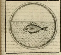 Picture 217 of 544 from Symboloru[m] & emblematum ex re herbaria desumtorum centuria vna[-quarta] collecta (1654), leaf 276
